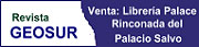 Revista GEOSUR